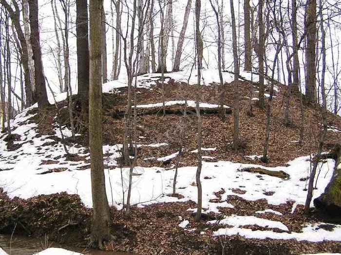 Stonava