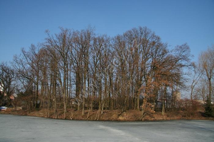 Stračov