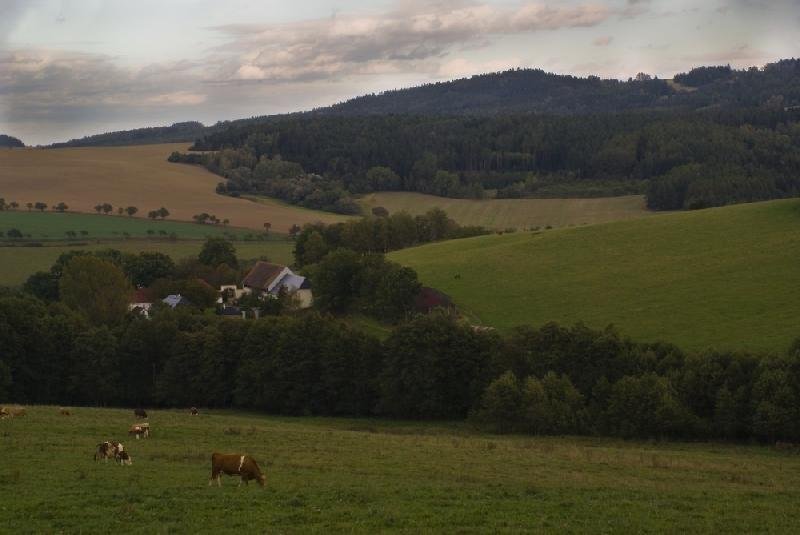 Strádal
