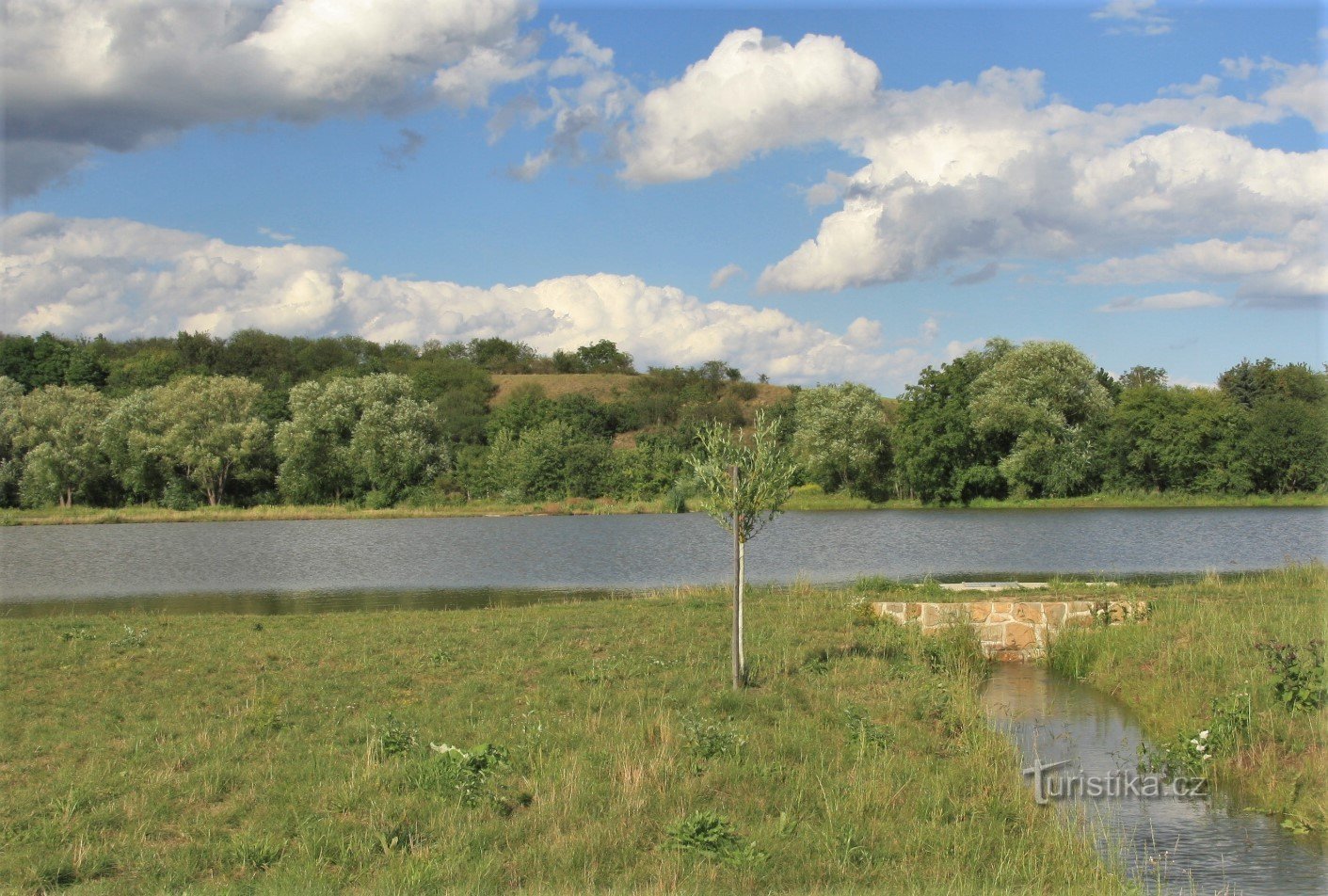 Stráně nad mokřadem Habřina