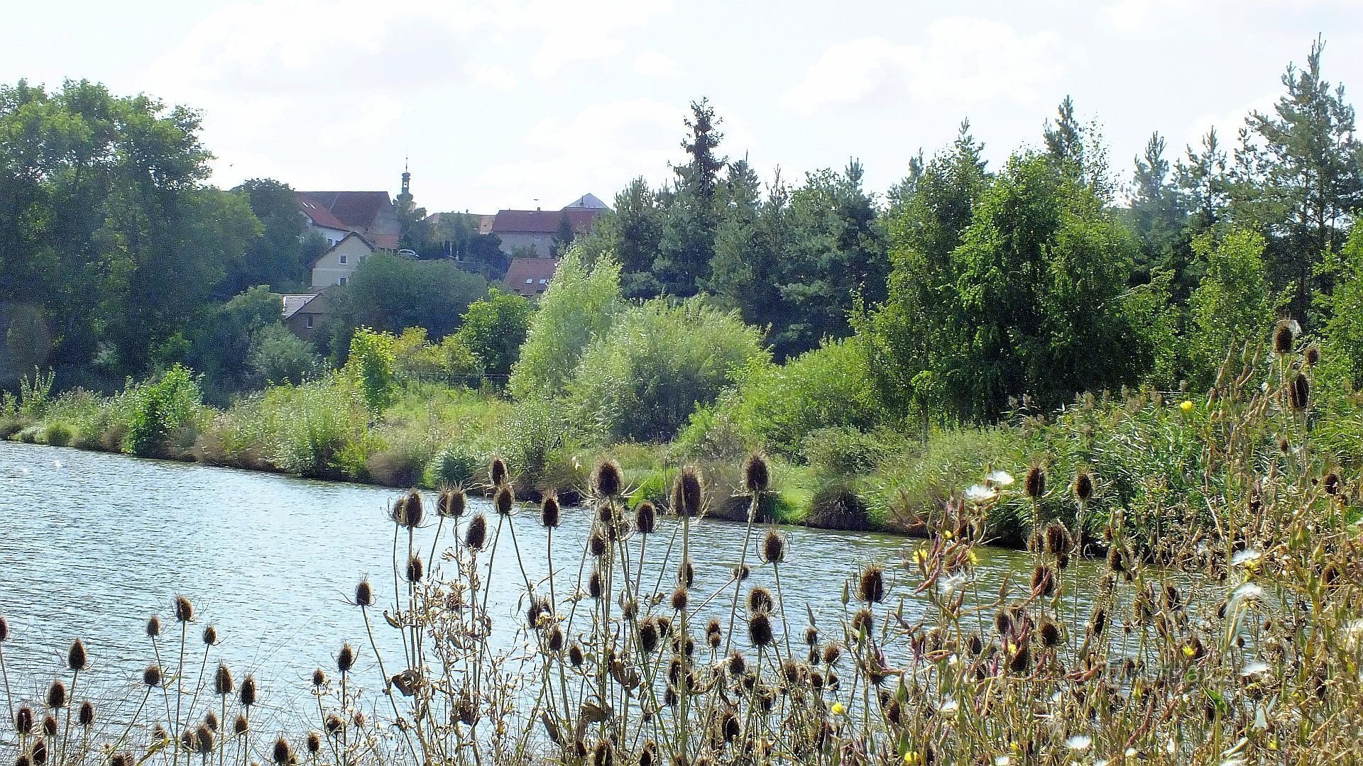 Středokluky, rybník Pod Panskou, v pozadí kostel sv. Prokopa
