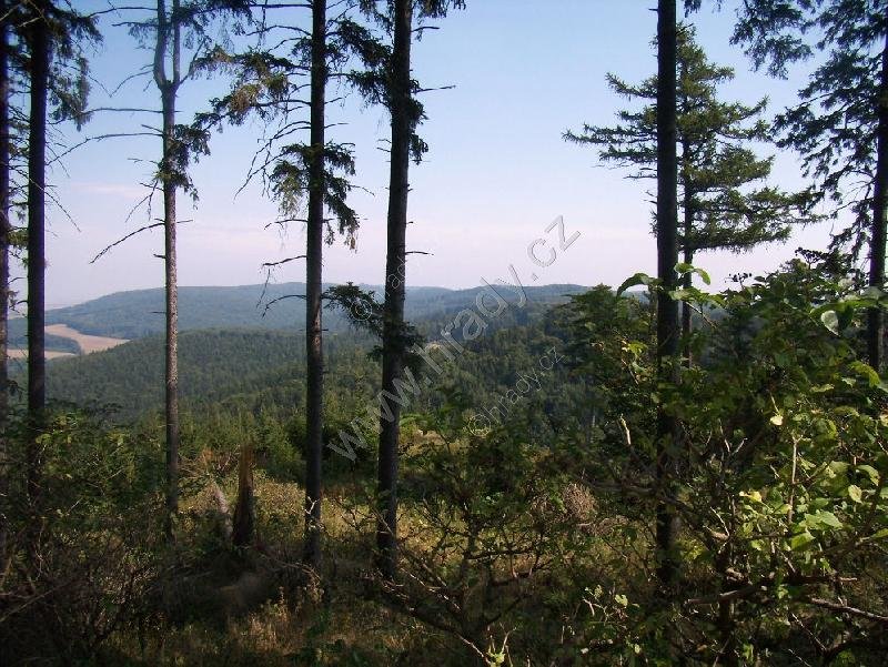 Střílky