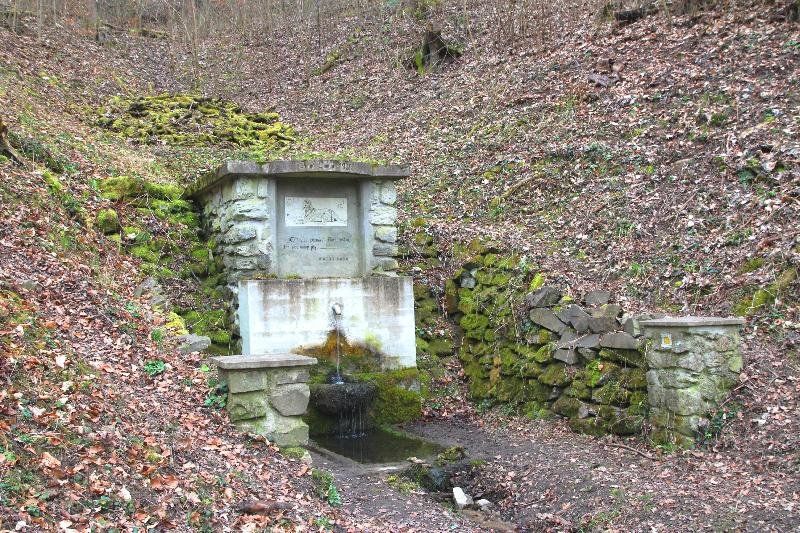 studánka U Psa