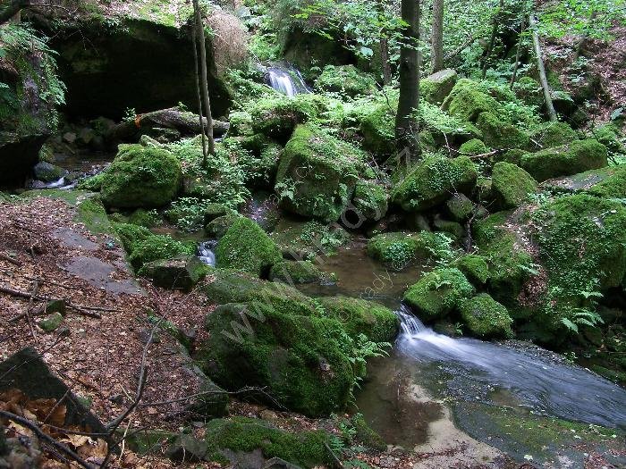 Suchá Kamenice