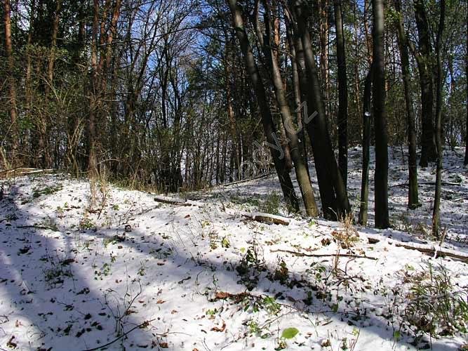 Svárov