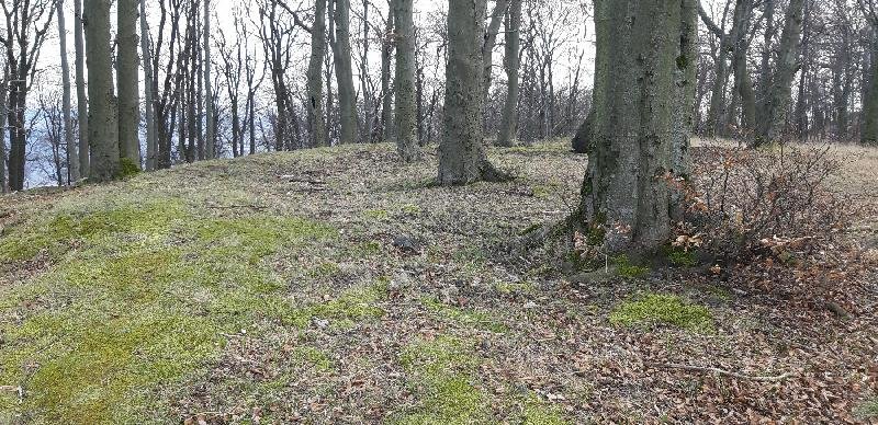 Švédské šance