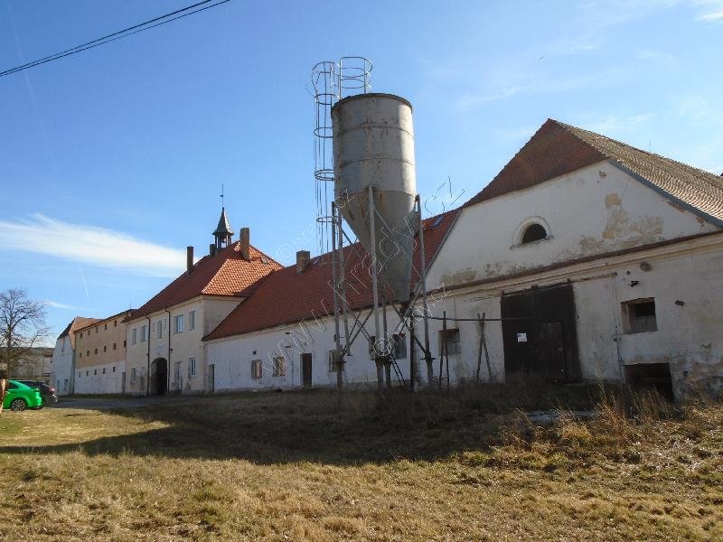 Světví