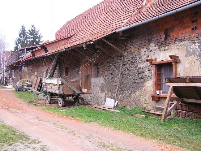 svobodný dvůr