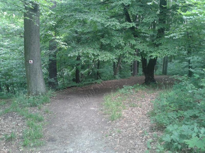 Svrčov