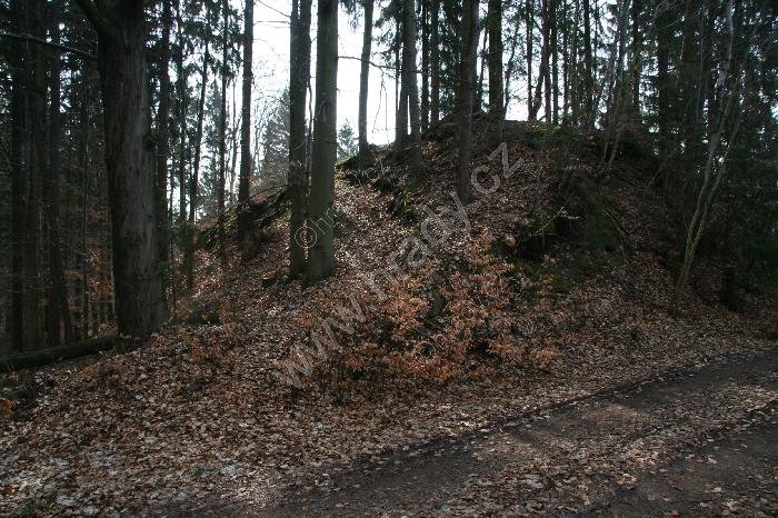 Sytový