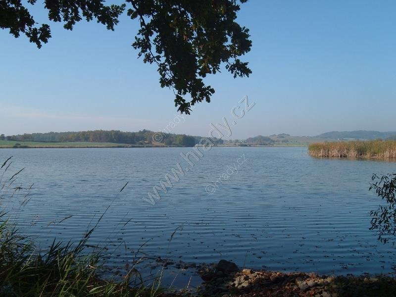 Tálínský rybník