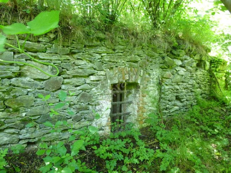 Tasnovice