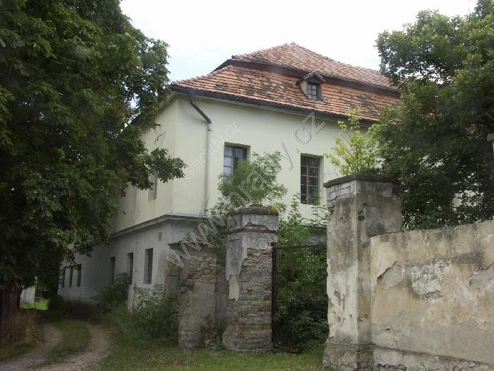 Tmaň
