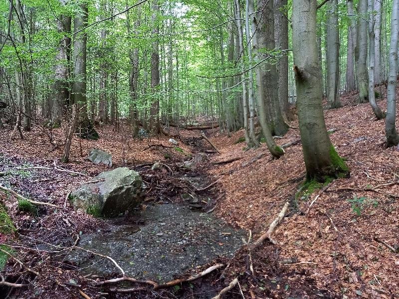 Trčkov