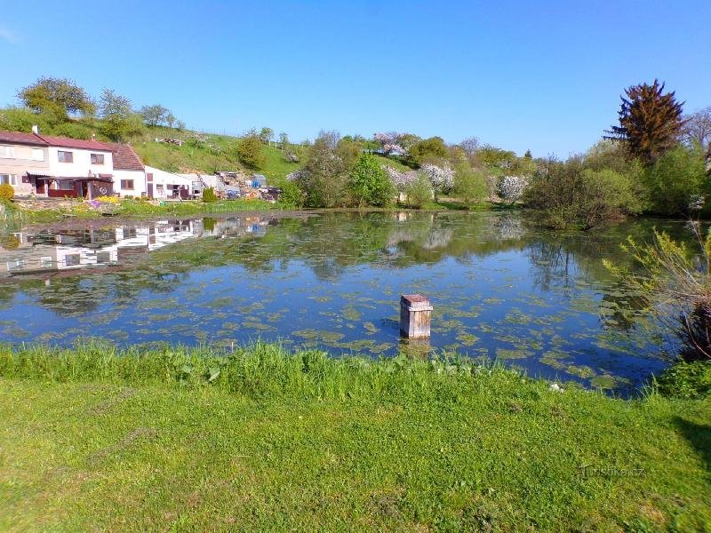 Třebešovský rybník
