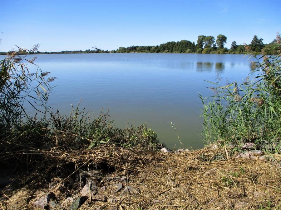 Třesický rybník