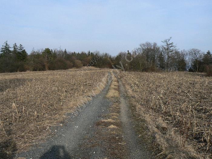 Třeskonice