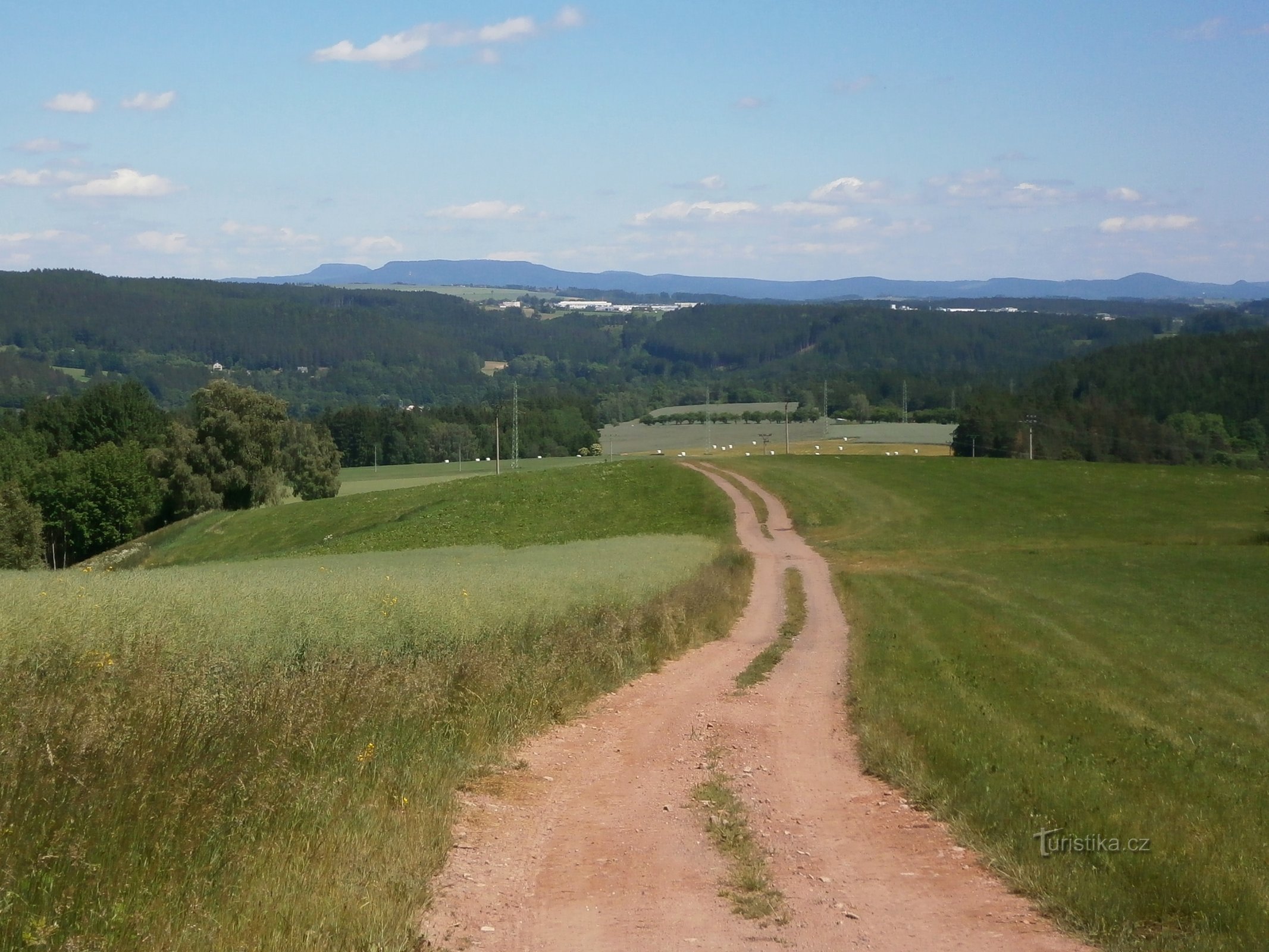 Trhovka (Libňatov, 6.6.2016)