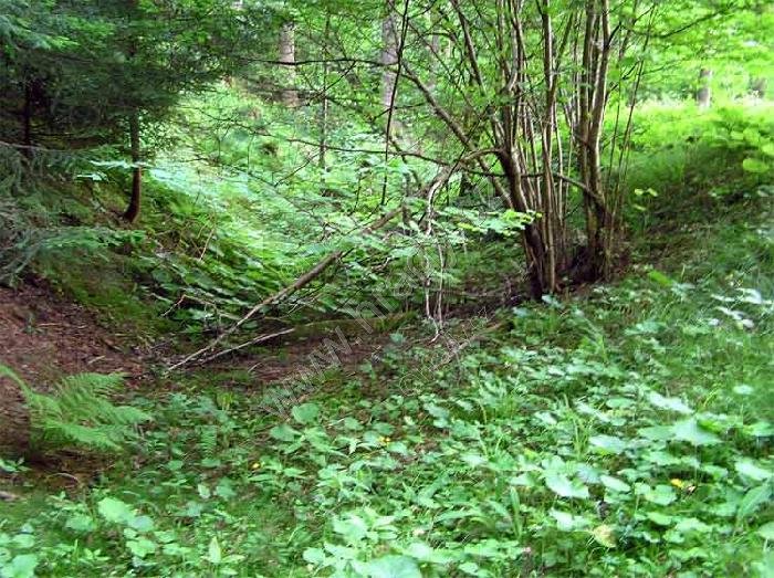 Trojaň