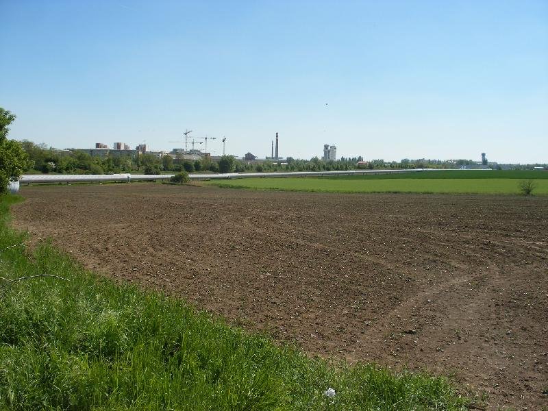 Tryskovice