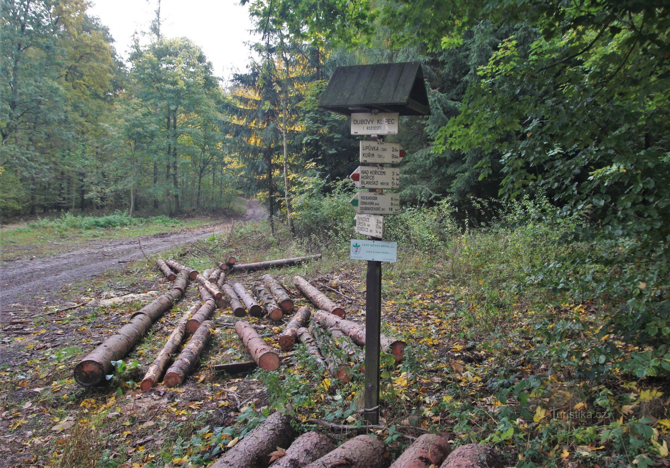 Turistické rozcestí Pod Dubovým kopcem