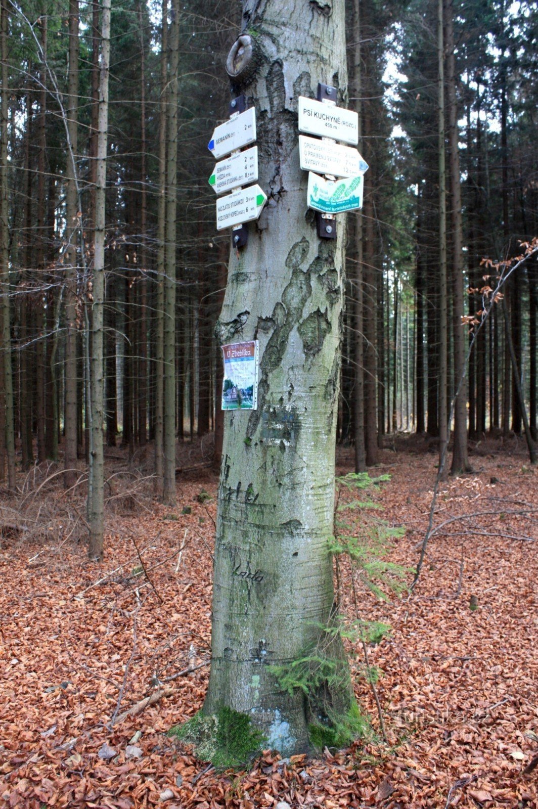 Turistické rozcestí Psí kuchyně