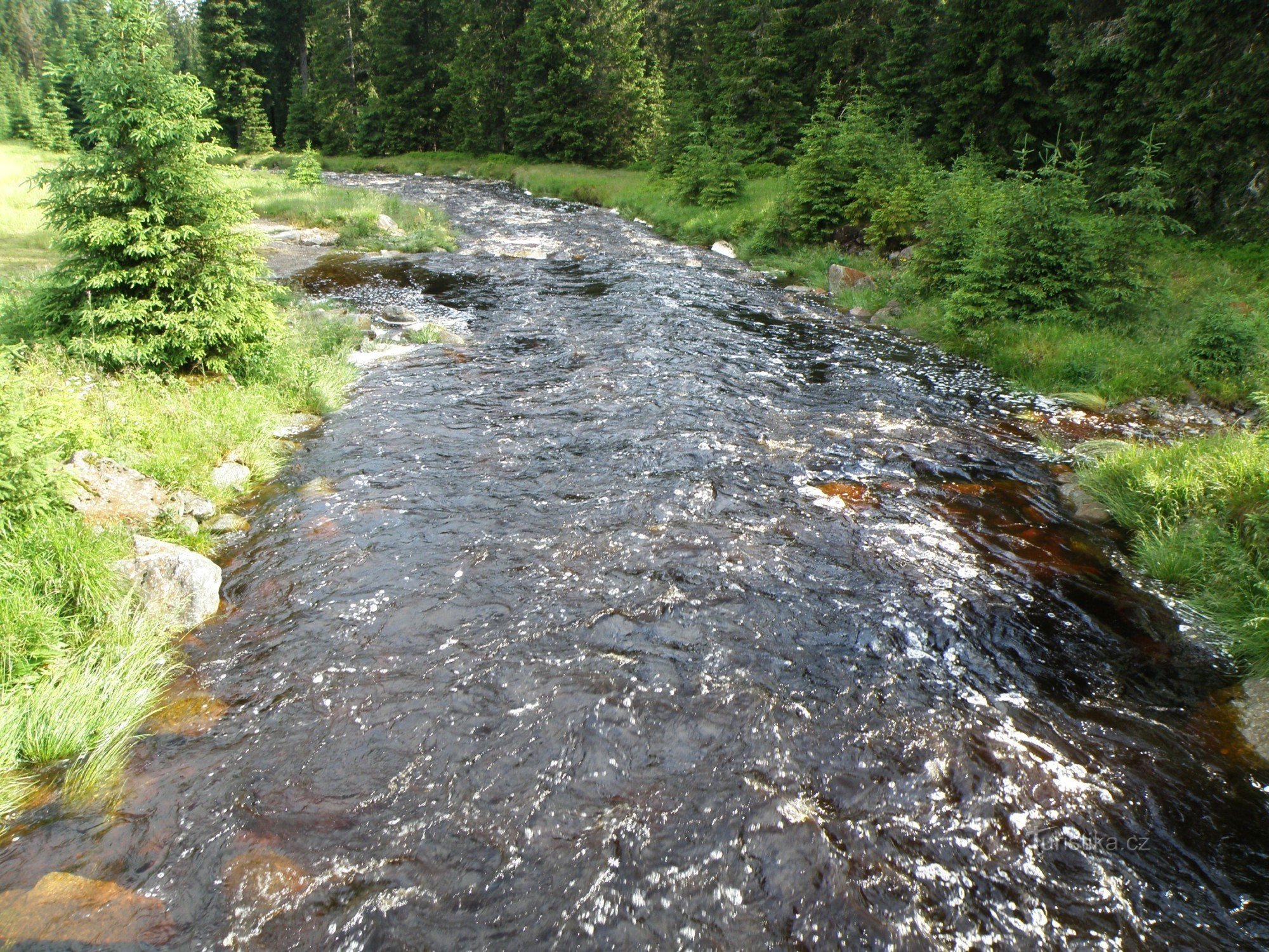 údolí Modravského potoka