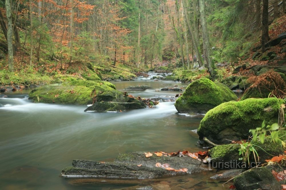 údolí řeky Doubravy, Sokolovec