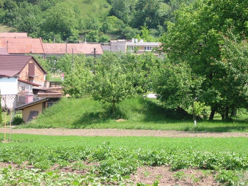 Uhřice