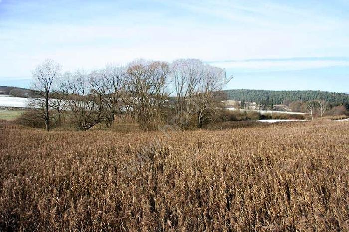 Újezd u Štěpánovic