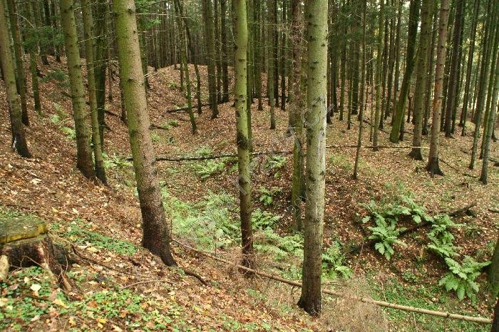 Ústrašín
