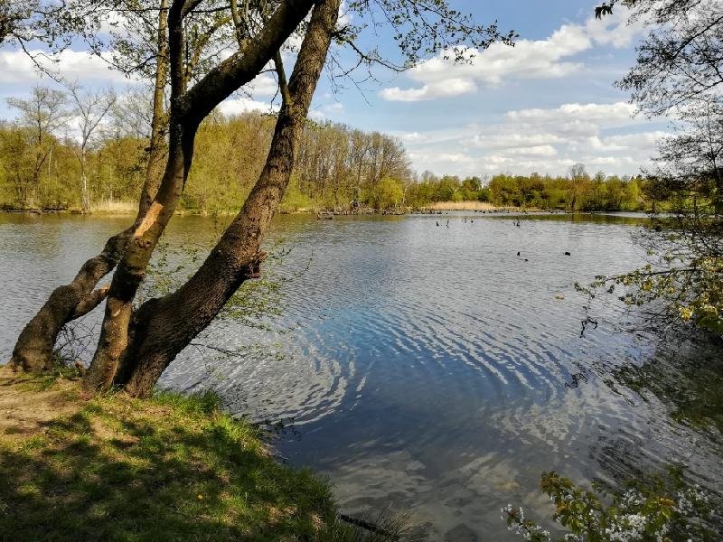 V Pískovně