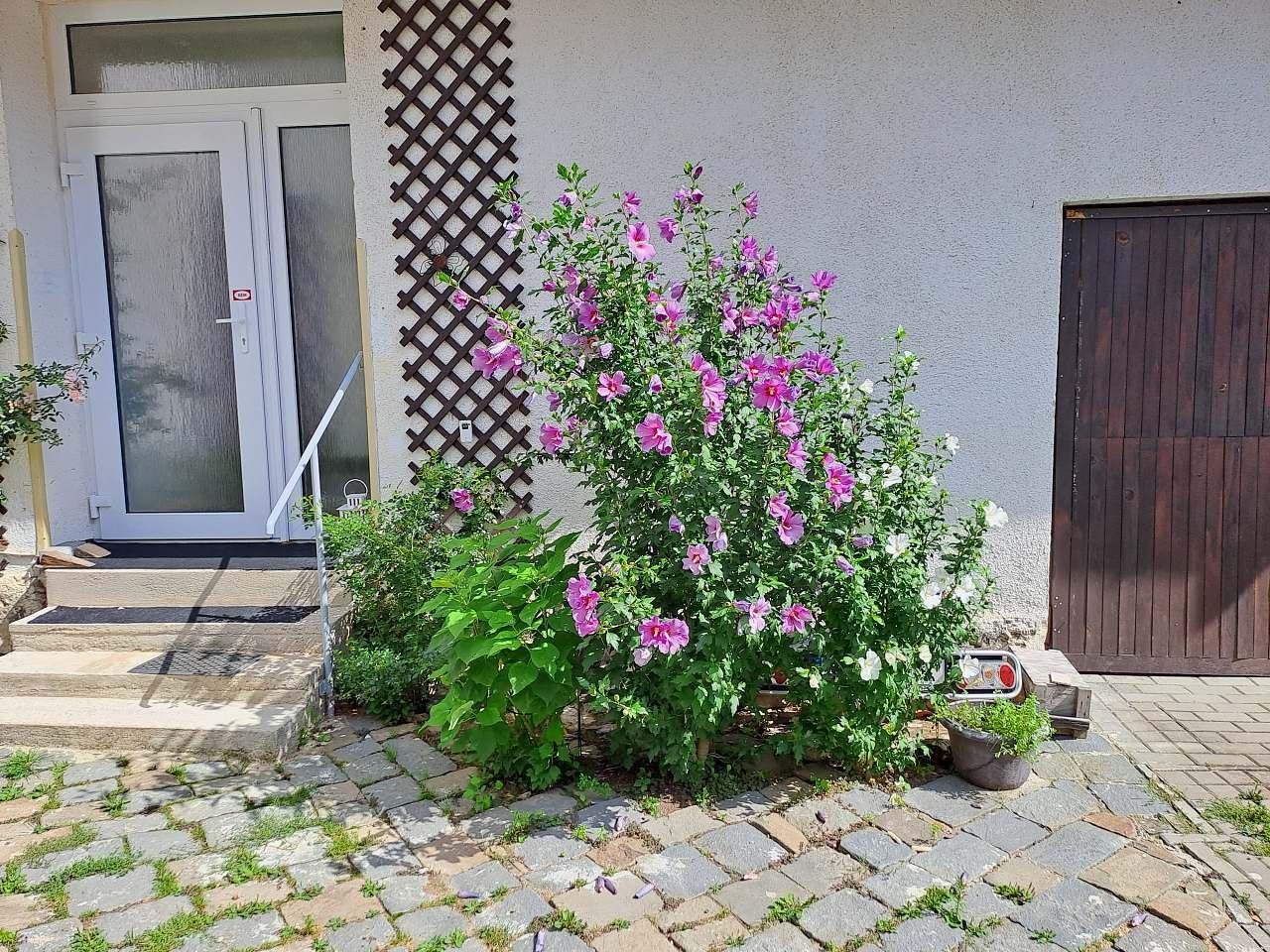 vchod apartmán přízemí