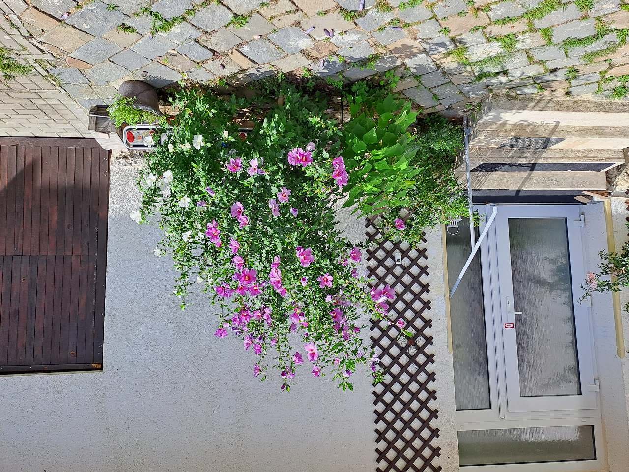 vchod apartmán přízemí