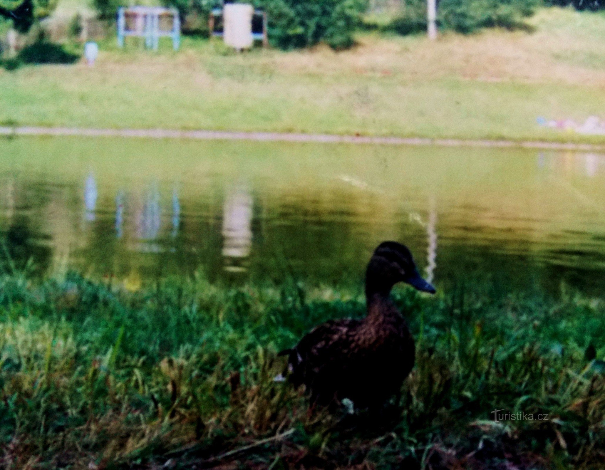 Ve vlnách přehrady Březůvky u Zlína
