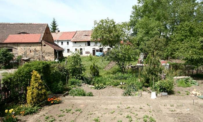 Velemín