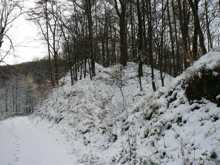 Velké Březno