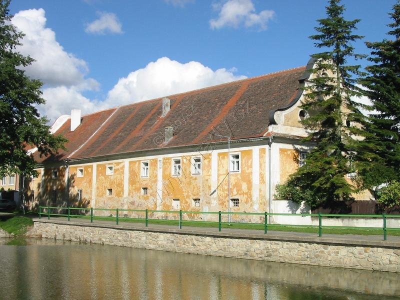 Vesce