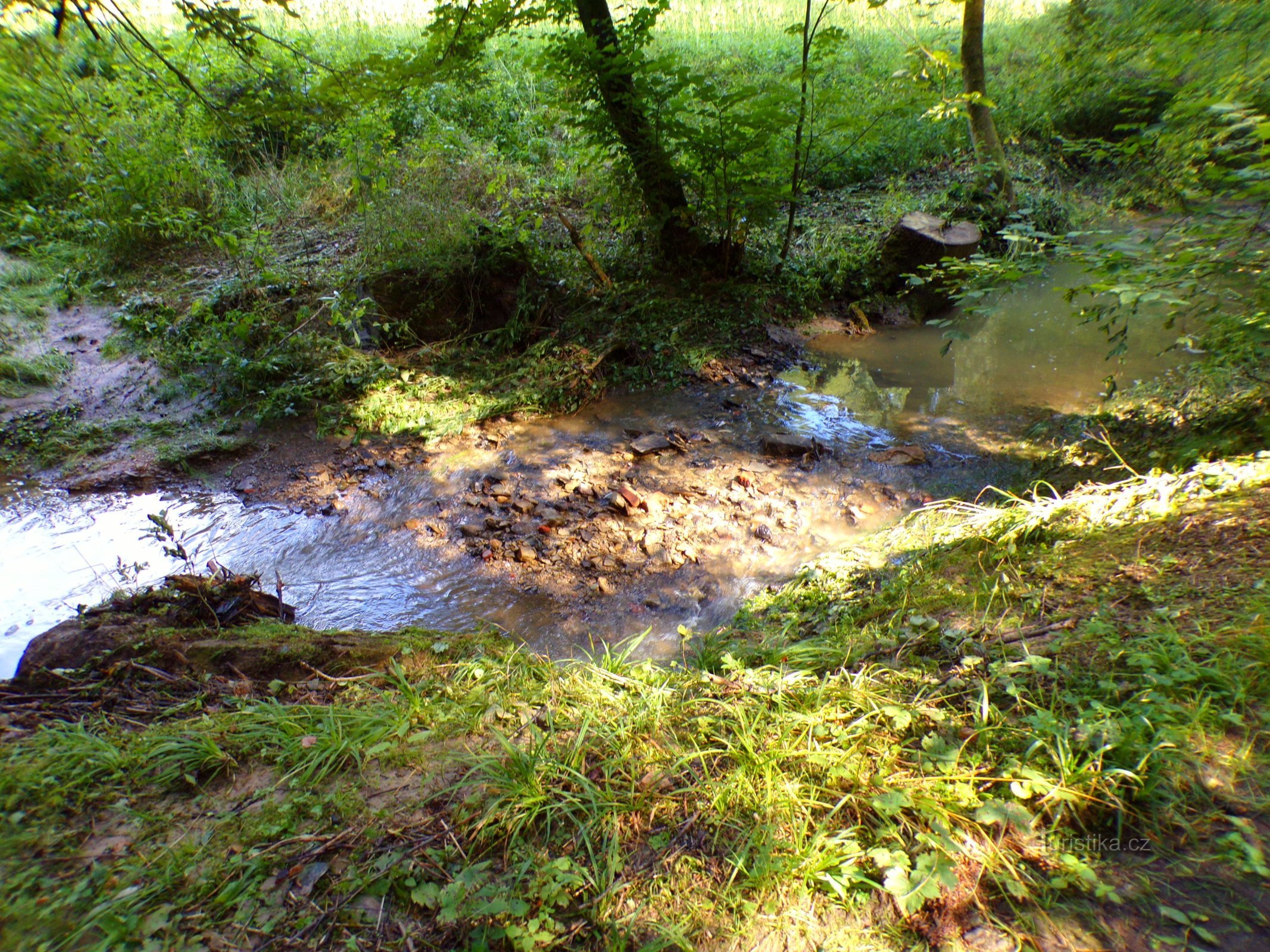 Větrnický potok (Vestec, 29.8.2022)