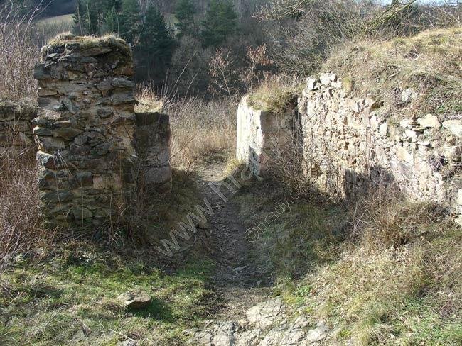 Věžka