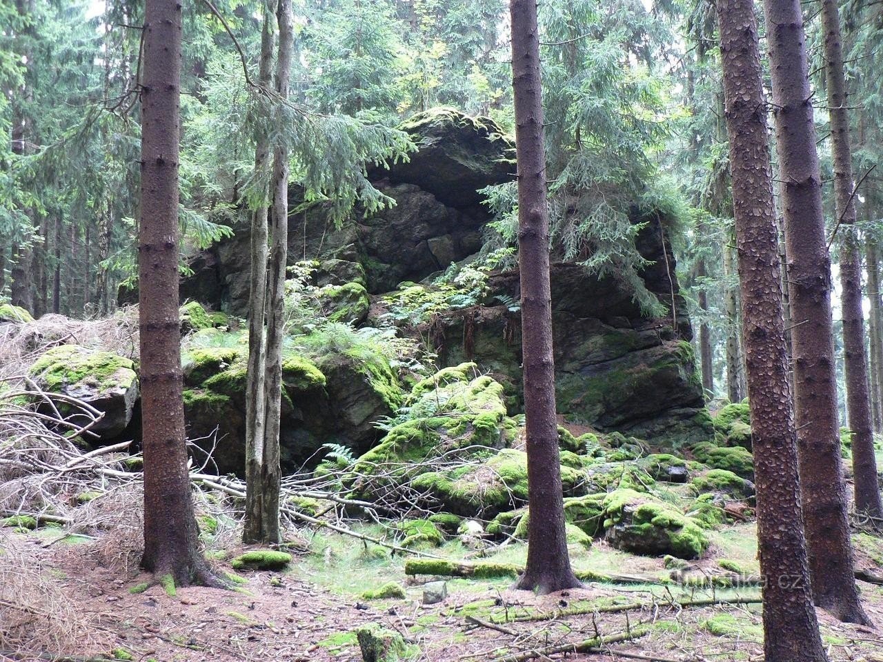 Vidhošťská skála