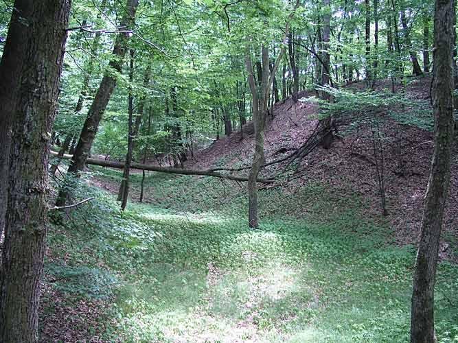 Vildenberk