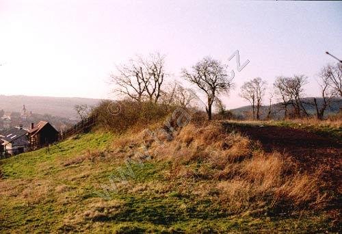 Vinařice