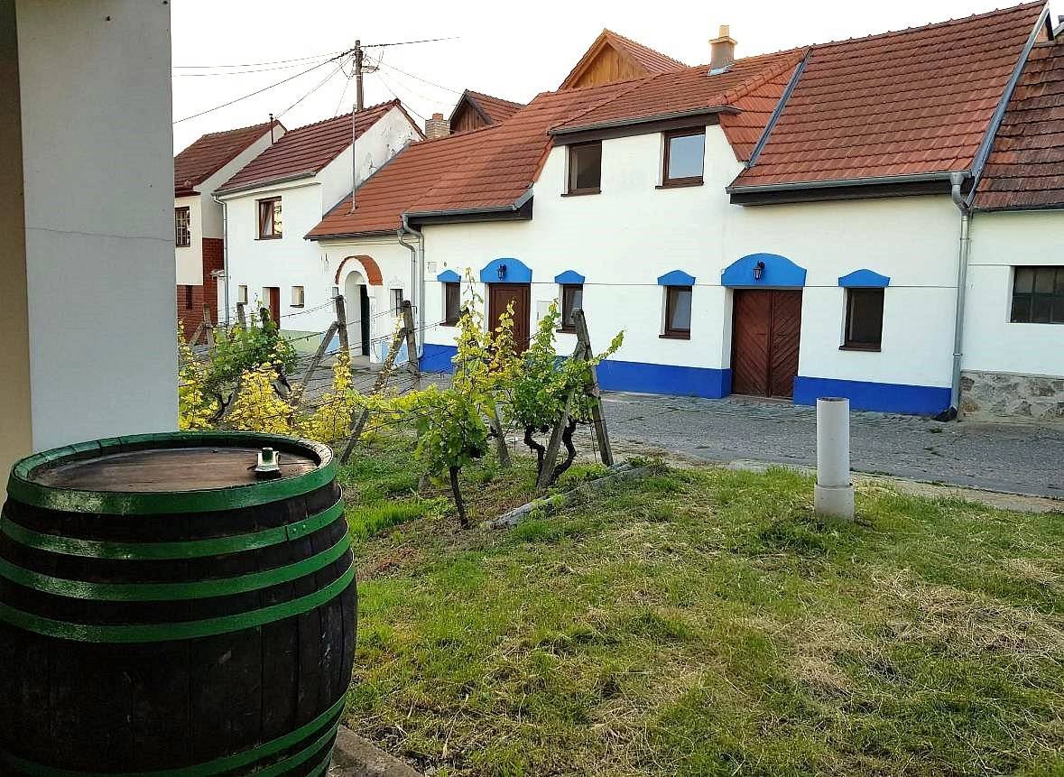 Vinný sklípek s ubytováním