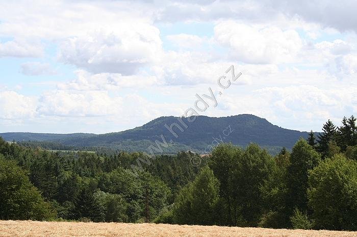 Vladař
