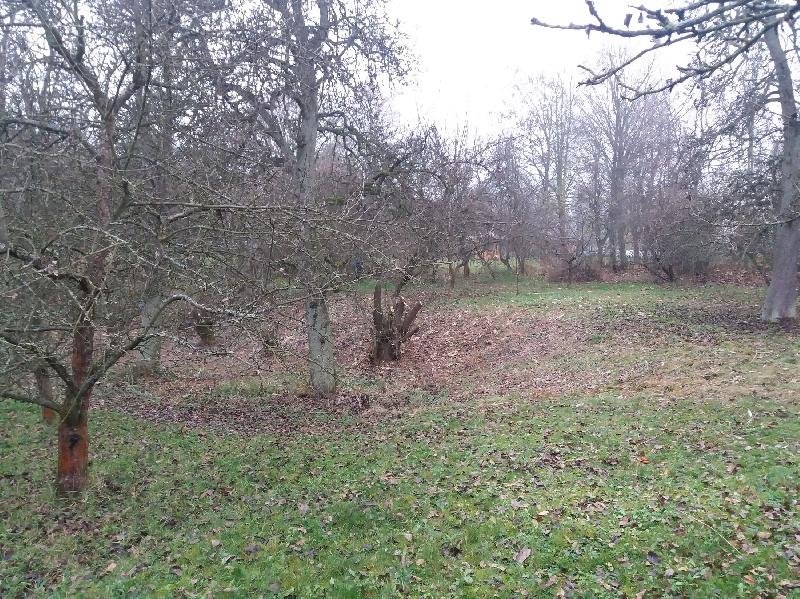 Vlastibořice