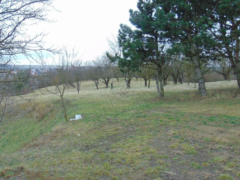 Vlčnov