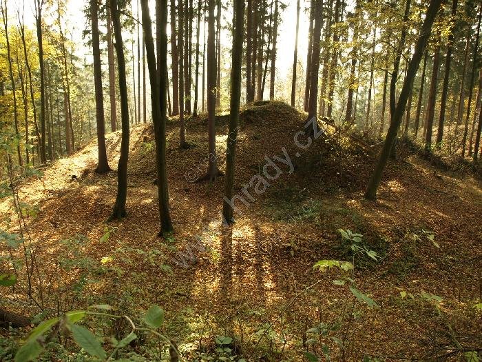 Vojslavice