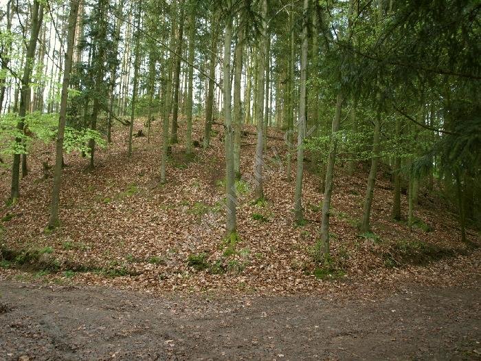 Voltýřov