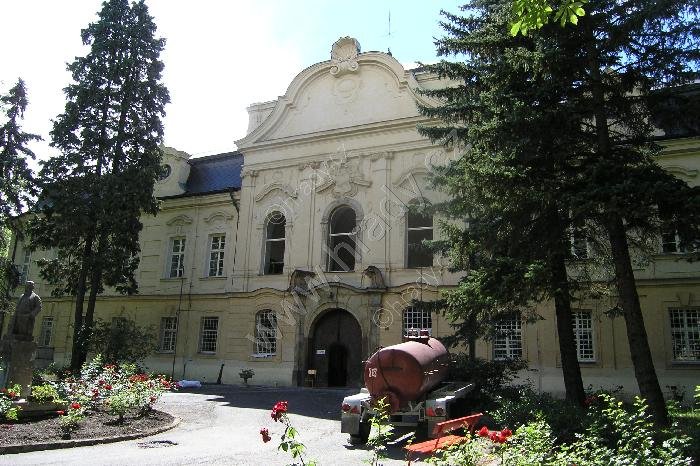 Vraný